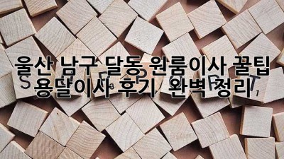 울산 남구 달동 원룸이사 꿀팁🍯 용달이사 후기 & 완벽 정리!
