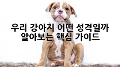 우리 강아지, 어떤 성격일까? 알아보는 핵심 가이드
